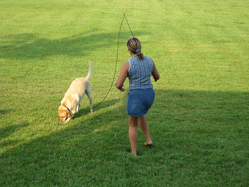 Picture 016